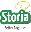 challenger brands storia logo v1